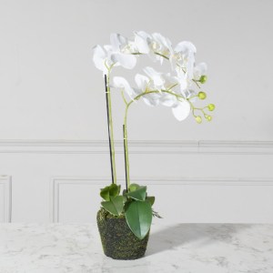 sg-6301-6 SUPERGREENS ΤΕΧΝΗΤΟ ΦΥΤΟ ΟΡΧΙΔΕΑ PHALAENOPSIS ΛΕΥΚΟ 80 ΕΚ.