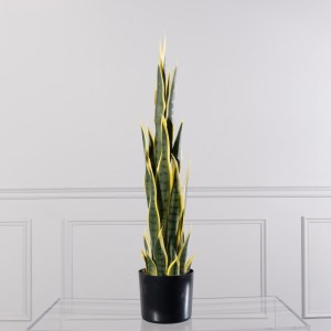 sg-6411-6 SUPERGREENS ΤΕΧΝΗΤΟ ΦΥΤΟ ΣΑΝΣΕΒΙΕΡΑ TRIFASCIATA ΠΡΑΣΙΝΟ 75 ΕΚ.