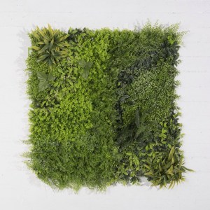 sg-6681-7 SUPERGREENS ΤΕΧΝΗΤΗ ΦΥΛΛΩΣΙΑ ΦΤΕΡΗ ΜΕ BABY TOOTH MOSS 100X100 ΕΚ.