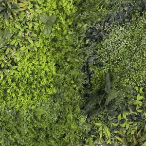 sg-6681-7 SUPERGREENS ΤΕΧΝΗΤΗ ΦΥΛΛΩΣΙΑ ΦΤΕΡΗ ΜΕ BABY TOOTH MOSS 100X100 ΕΚ.
