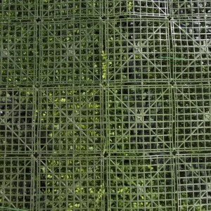 sg-6681-7 SUPERGREENS ΤΕΧΝΗΤΗ ΦΥΛΛΩΣΙΑ ΦΤΕΡΗ ΜΕ BABY TOOTH MOSS 100X100 ΕΚ.