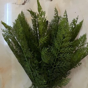 sg-6712-7 SUPERGREENS ΤΕΧΝΗΤΗ ΧΩΝΕΥΤΗ ΦΤΕΡΗ ASPARAGUS ″ASPARAGUS SOFT″ ΠΡΑΣΙΝΗ 54 ΕΚ.