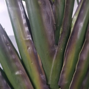 sg-6901-6 SUPERGREENS ΤΕΧΝΗΤΟ ΔΕΝΤΡΟ ΤΟΥ ΤΑΞΙΔΙΩΤΗ ″RAVENALA″ ΠΡΑΣΙΝΟ 310X40X300 ΕΚ.