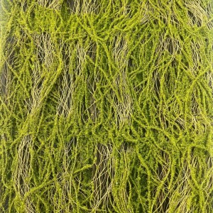 sg-6991-7 SUPERGREENS ΤΕΧΝΗΤΗ ΦΥΛΛΩΣΙΑ MOSS ″LEAF OF LIFE″ ΠΡΑΣΙΝΗ 50X100 ΕΚ.