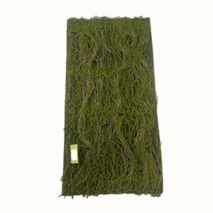 sg-6991-7 SUPERGREENS ΤΕΧΝΗΤΗ ΦΥΛΛΩΣΙΑ MOSS ″LEAF OF LIFE″ ΠΡΑΣΙΝΗ 50X100 ΕΚ.