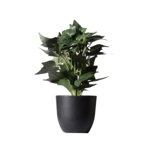 sg-7060-6 SUPERGREENS ΤΕΧΝΗΤΟ ΦΥΤΟ ΚΙΣΣΟΣ SILVER ΠΡΑΣΙΝΟ 30 ΕΚ.