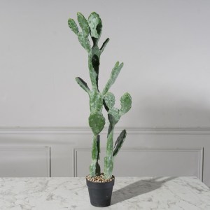 sg-7101-6 SUPERGREENS ΤΕΝΗΤΟ ΦΥΤΟ ΦΡΑΓΚΟΣΥΚΙΑ ″OPUNTIA″ 91,5 ΕΚ.