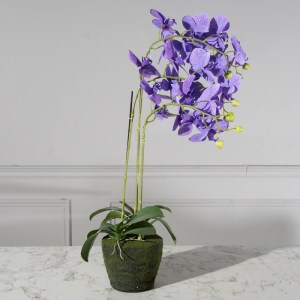 sg-7301-6 SUPERGREENS ΤΕΧΝΗΤΟ ΦΥΤΟ ΟΡΧΙΔΕΑ PHALAENOPSIS ΜΩΒ 80 ΕΚ.