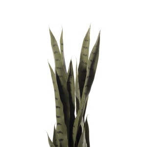 sg-7411-6 SUPERGREENS ΤΕΧΝΗΤΟ ΦΥΤΟ ΣΑΝΣΕΒΙΕΡΑ TRIFASCIATA ΠΡΑΣΙΝΟ 100 ΕΚ.