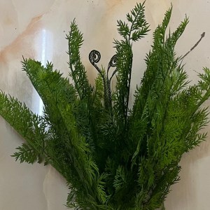 sg-7712-7 SUPERGREENS ΤΕΧΝΗΤΟ ΧΩΝΕΥΤΗ ΤΟΥΓΙΑ ″THUJA CORE″ ΠΡΑΣΙΝΗ 54 ΕΚ.