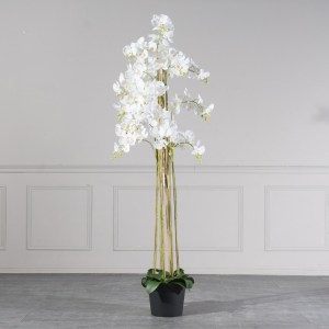 sg-7811-6 SUPERGREENS ΤΕΧΝΗΤΟ ΦΥΤΟ ΟΡΧΙΔΕΑ PHALAENOPSIS ΛΕΥΚΟ 180 ΕΚ.