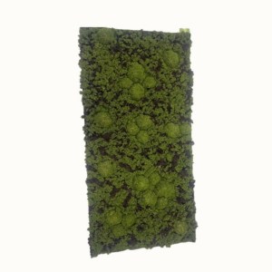 sg-7991-7 SUPERGREENS ΤΕΧΝΗΤΗ ΦΥΛΛΩΣΙΑ MOSS ″EDEM″ ΠΡΑΣΙΝΗ 50X100 ΕΚ.