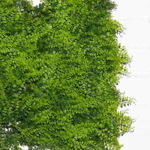 sg-8000-7 SUPERGREENS ΤΕΧΝΗΤΗ ΦΥΛΛΩΣΙΑ ΦΤΕΡΗ ″CLASSIC″ 50X50 ΕΚ.