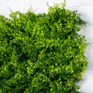 sg-8000-7 SUPERGREENS ΤΕΧΝΗΤΗ ΦΥΛΛΩΣΙΑ ΦΤΕΡΗ ″CLASSIC″ 50X50 ΕΚ.