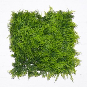 sg-8000-7 SUPERGREENS ΤΕΧΝΗΤΗ ΦΥΛΛΩΣΙΑ ΦΤΕΡΗ ″CLASSIC″ 50X50 ΕΚ.