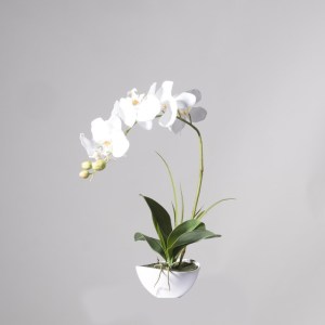 sg-8170-6 SUPERGREENS ΤΕΧΝΗΤΟ ΦΥΤΟ ΟΡΧΙΔΕΑ PHALAENOPSIS REAL TOUCH ΛΕΥΚΗ ΜΕ ΚΑΣΠΩ 50 ΕΚ.