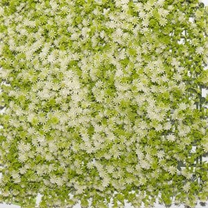 sg-8281-7 SUPERGREENS ΤΕΧΝΗΤΗ ΦΥΛΛΩΣΙΑ MOSS ″HAIRCAP″ ΛΕΥΚΗ 50X50 ΕΚ.