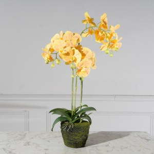 sg-8301-6 SUPERGREENS ΤΕΧΝΗΤΟ ΦΥΤΟ ΟΡΧΙΔΕΑ PHALAENOPSIS ΚΙΤΡΙΝΟ 80 ΕΚ.