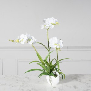sg-8401-6 SUPERGREENS ΤΕΧΝΗΤΟ ΦΥΤΟ ΟΡΧΙΔΕΑ PHALAENOPSIS ΛΕΥΚΟ 57 ΕΚ.