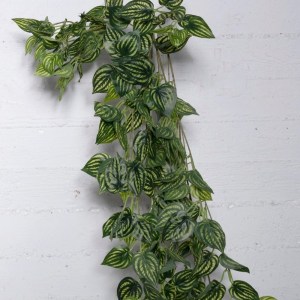 sg-8402-7 SUPERGREENS ΤΕΧΝΗΤΗ ΚΡΕΜΑΣΤΗ ΦΙΤΟΝΙΑ ALBIVENIS ΠΡΑΣΙΝΗ 110 ΕΚ.