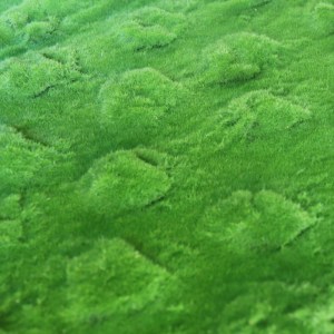 sg-8971-7 SUPERGREENS ΤΕΧΝΗΤΗ ΦΥΛΛΩΣΙΑ MOSS ″WAVY″ ΠΡΑΣΙΝΗ 100X100 ΕΚ.