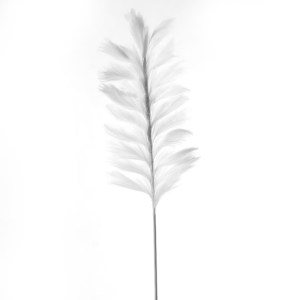 sg-9081-7 SUPERGREENS ΤΕΧΝΗΤΟ ΚΛΑΔΙ PAMPAS ″PILOSA″ ΛΕΥΚΟ 120 ΕΚ..