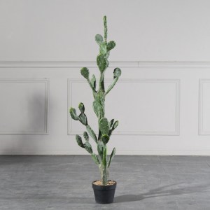 sg-9101-6 SUPERGREENS ΤΕΝΗΤΟ ΦΥΤΟ ΦΡΑΓΚΟΣΥΚΙΑ ″OPUNTIA″ 134 ΕΚ.