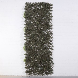 sg-9191-7 SUPERGREENS ΤΕΧΝΗΤΗ ΦΥΛΛΩΣΙΑ ΠΤΥΣΣΟΜΕΝΗ ΦΙΚΟΣ ΜΕ ΚΙΣΣΟ ″AURAE″ ΠΡΑΣΙΝΗ 100X200 ΕΚ.