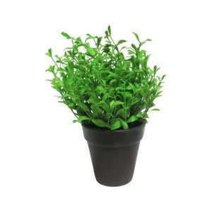 sg-9650-6 SUPERGREENS ΤΕΧΝΗΤΟ ΦΥΤΟ ΑΡΩΜΑΤΙΚΟ ΠΡΑΣΙΝΟ 19 ΕΚ.