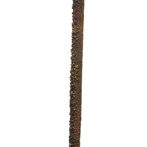 sg-9731-7 SUPERGREENS ΤΕΧΝΗΤΟΣ ΚΟΡΜΟΣ ΚΑΦΕ 100 ΕΚ.