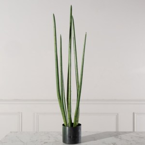 sg-9901-6 SUPERGREENS ΤΕΧΝΗΤΟ ΦΥΤΟ ΣΑΝΣΕΒΙΕΡΑ ″CYLINDRICA″ ΠΡΑΣΙΝΟ 22X26X105 ΕΚ.