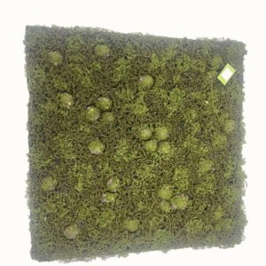 sg-9991-7 SUPERGREENS ΤΕΧΝΗΤΗ ΦΥΛΛΩΣΙΑ MOSS ″BRYO-FOREST″ ΠΡΑΣΙΝΗ 100X100 ΕΚ.