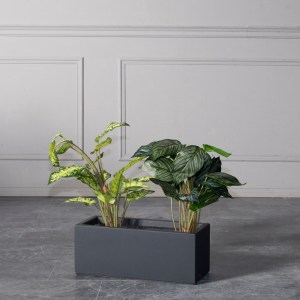 sg-A-8740-8 SUPERGREENS ΓΛΑΣΤΡΑ ΠΗΛΙΝΗ ΜΑΚΡΟΣΤΕΝΗ 50X20X20 ΕΚ.