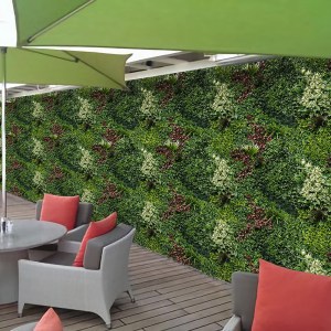 shw-18000-19419 ΦΥΛΛΩΣΙΑ PREMIUM ΓΙΑ ΕΠΕΝΔΥΣΗ ΤΟΙΧΟΥ 100 X 100ΕΚ. - ΑΝΕΜΩΝΗ