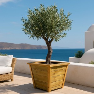 shw-30059-20277 ΞΥΛΙΝΗ ΓΛΑΣΤΡΑ ΒΕΡΝΗ 45ΕΚ.