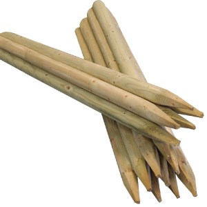 shw-30101-24420 ΞΥΛΙΝΟΣ ΠΑΣΣΑΛΟΣ Ø6 X 300ΕΚ. ΜΕ ΜΥΤΗ