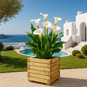 shw-30163-20286 ΞΥΛΙΝΗ ΓΛΑΣΤΡΑ ΤΕΤΡΑΓΩΝΗ 30 X 30 ΕΚ. – 28ΕΚ. ΥΨΟΣ