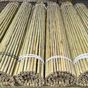 shw-30274-22947 ΚΑΛΑΜΩΤΗ ΜΠΑΜΠΟΥ Ø20–25MM - 150 X 250ΕΚ.