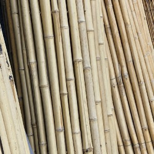 shw-30274-24656 ΚΑΛΑΜΩΤΗ ΜΠΑΜΠΟΥ Ø20–25MM - 150 X 250ΕΚ.