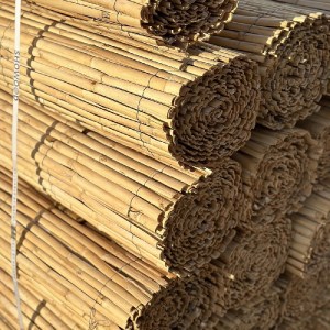 shw-31259-21525 ΚΑΛΑΜΩΤΗ ΑΠΟ ΜΙΣΟ ΚΑΛΑΜΙ – ΔΙΕΤΟΥΣ ΑΝΑΠΤΥΞΗΣ 100 X 500 ΕΚ.