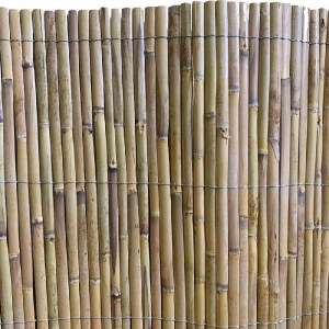 shw-31361-21529 ΚΑΛΑΜΩΤΗ ΑΠΟ ΜΙΣΟ ΚΑΛΑΜΙ – ΔΙΕΤΟΥΣ ΑΝΑΠΤΥΞΗΣ 200 X 500 ΕΚ.