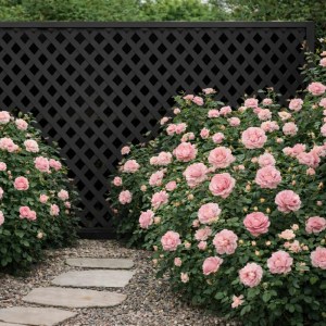 shw-33043-23506 ΚΑΦΑΣΩΤΟ ΣΥΝΘΕΤΙΚΟ PRIVACY DIAMOND 240 × 120 ΕΚ. | ΜΑΥΡΟ