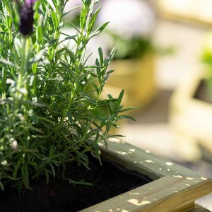 shw-50465-13456 ΞΥΛΙΝΗ ΓΛΑΣΤΡΑ ΤΕΤΡΑΓΩΝΗ ΜΕ ΠΗΧΑΚΙΑ ΞΥΛΙΝΗ ΓΛΑΣΤΡΑ ΤΕΤΡΑΓΩΝΗ 40(Υ) X 40 X 40ΕΚ.