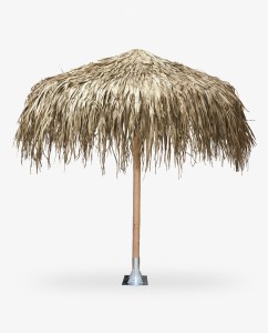 tz-157-09 ΟΜΠΡΕΛΑ ΨΑΘΙΝΗ FAN PALM