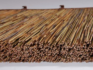 tz-189-Thatch4 THATCH