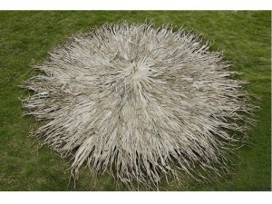 tz-252-112230-FAN-PALM omprela19 ΚΑΛΥΜΜΑ ΓΙΑ ΣΤΡΟΓΓΥΛΗ ΟΜΠΡΕΛΑ ΡΑΦΤΟ (FAN PALM) Φ300R