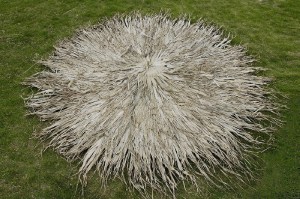 tz-252-112250-FAN-PALM omprela1 ΚΑΛΥΜΜΑ ΓΙΑ ΣΤΡΟΓΓΥΛΗ ΟΜΠΡΕΛΑ ΡΑΦΤΟ (FAN PALM) Φ250R