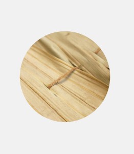 tz-253-112201-kalymma-omprelas-funpalm-2-920x1051 ΚΑΛΥΜΜΑ ΓΙΑ ΤΕΤΡΑΓΩΝΗ ΟΜΠΡΕΛΑ  ΡΑΦΤΟ (FAN PALM) 200Χ200CM