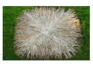 tz-253-112301-112201-00_ecoshadow.gr2 ΚΑΛΥΜΜΑ ΓΙΑ ΤΕΤΡΑΓΩΝΗ ΟΜΠΡΕΛΑ  ΡΑΦΤΟ (FAN PALM) 300Χ300CM