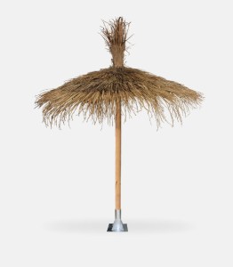 tz-280-EC-121320-omprela-tropiki-alang-alang-1344x1536 ΟΜΠΡΕΛΑ ΨAΘΙΝΗ ALANG ALANG